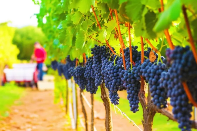 Background for vintage