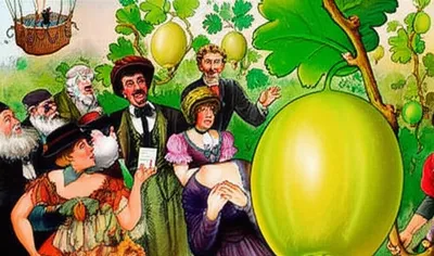 Illustration gooseberries - Image 1