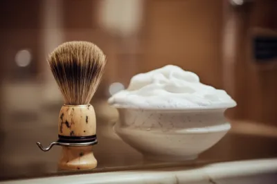 Illustration badger - Image 1