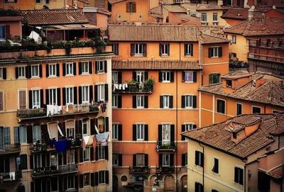 Illustration insula - Image 1