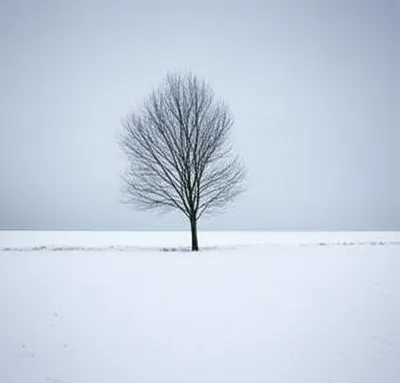 Illustration quiescent