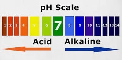 Illustration scale - Image 5