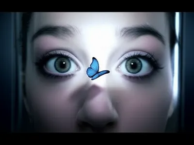 Illustration fixation - Image 1