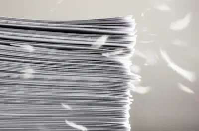 Illustration ruffle - Image 1