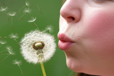 Illustration blows - Image 1