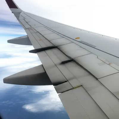 Illustration boot - Image 1