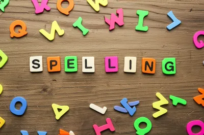 Hình ảnh minh họa sp - Ảnh 1