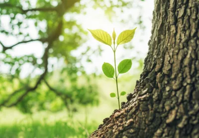 Illustration fostering - Image 1