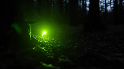 Illustration flashing - Image 1