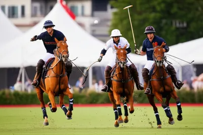 Illustration mall - Image 1