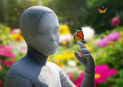 Illustration number - Image 1