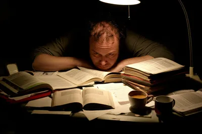 Illustration digging - Image 1