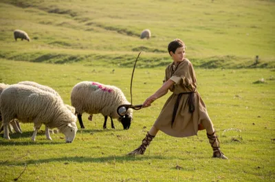 Illustration slings - Image 1