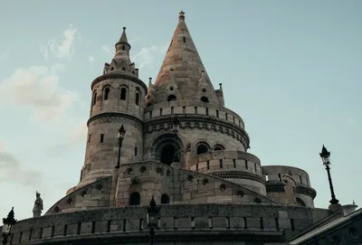 Illustration flanks - Image 2