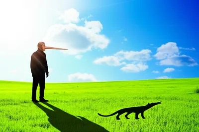 Illustration untruthful