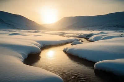 Illustration purely - Image 1