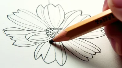 Illustration redrawing