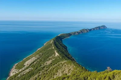 Illustration reach - Image 1