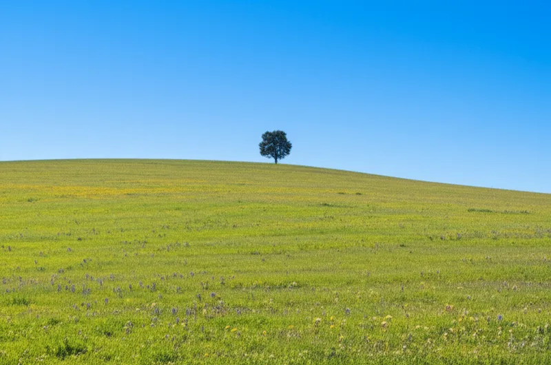 Visuelle Darstellung für das Wort „hillside" - Hügelhang, Berghang