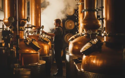 Illustration distiller - Image 1