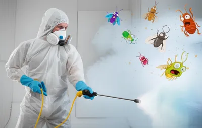 Illustration fumigating