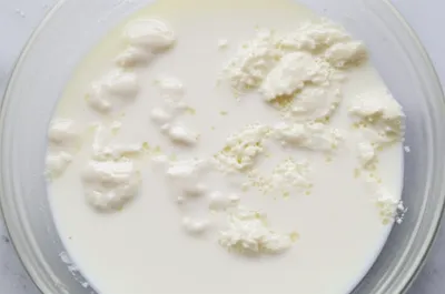 Illustration curd - Image 1