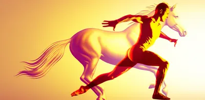 Illustration thoroughbred - Image 1