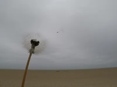 Illustration aimlessly