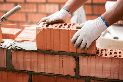 Illustration laid - Image 1