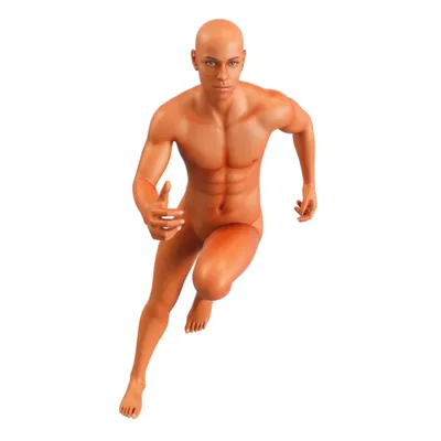 Illustration corse - Image 1