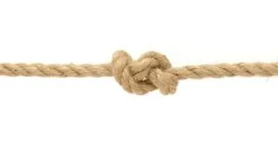Illustration knot - Image 2
