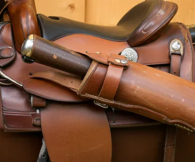 Illustration budgets - Image 1