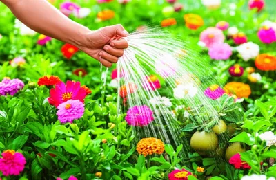 Illustration mn - Image 1