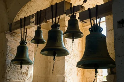 Illustration hunted - Image 1