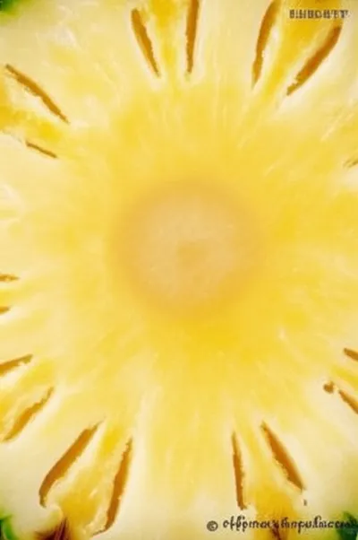 Illustration pineapple - Image 1