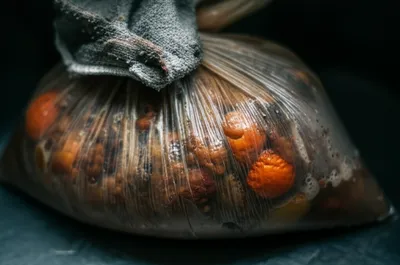 Illustration motor - Image 1