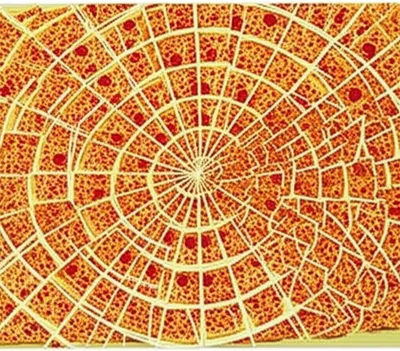 Illustration diluting - Image 1