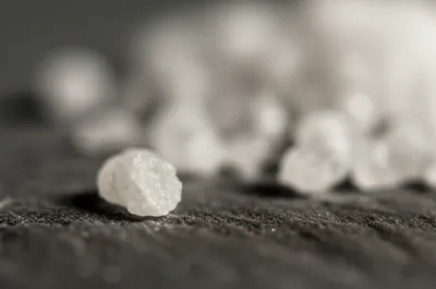 Illustration pickles - Image 1