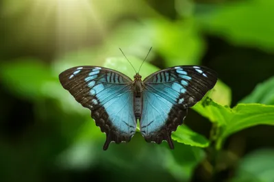 Illustration plane - Image 1