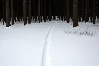 Illustration unused - Image 1