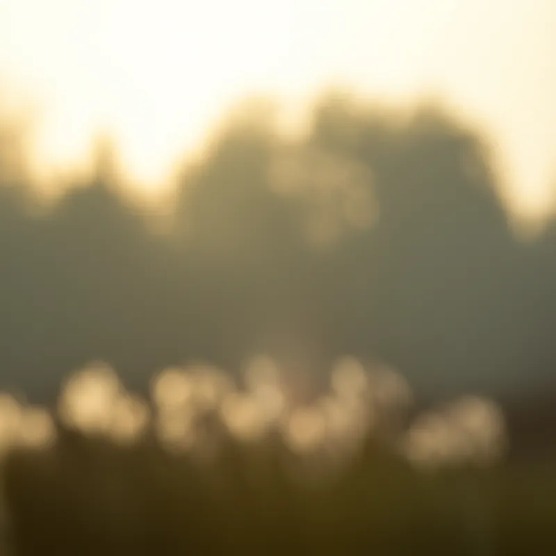 Hình ảnh minh họa cho từ "indistinct" - Mờ, không rõ ràng, lờ mờ.
