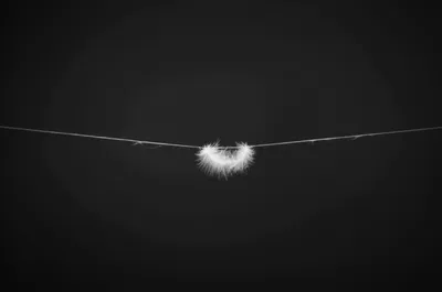 Illustration weakest - Image 1