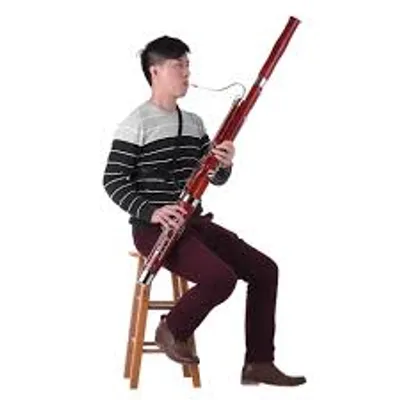 Illustration bassoon - Image 2