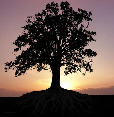 Illustration symbolized