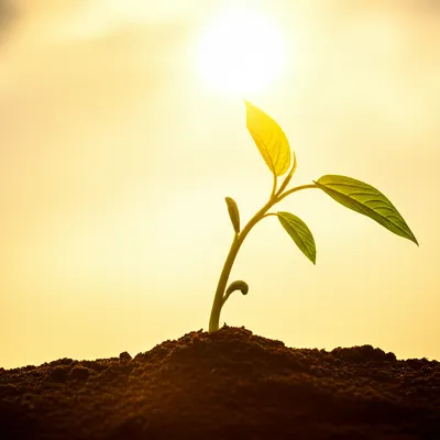 Illustration worship - Image 1