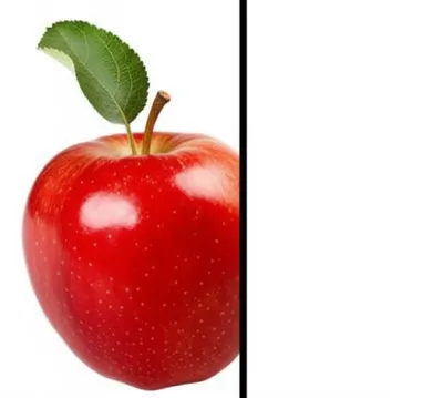 Illustration crisper - Image 1