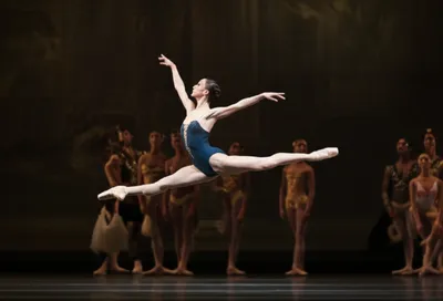 Illustration ballerinas - Image 1