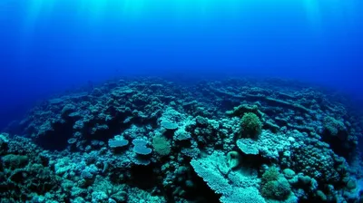 Illustration deepened - Image 1