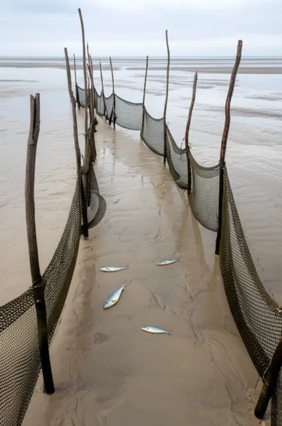 Illustration ebbed - Image 1