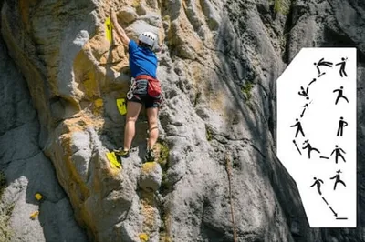 Illustration betas - Image 1